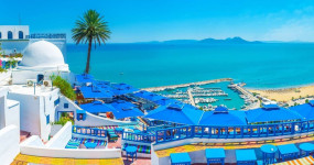 تونس
